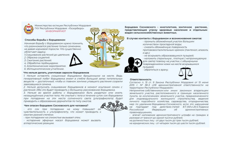 Листовка по борщевику Сосновского. Листовка по борщевику Сосновского.